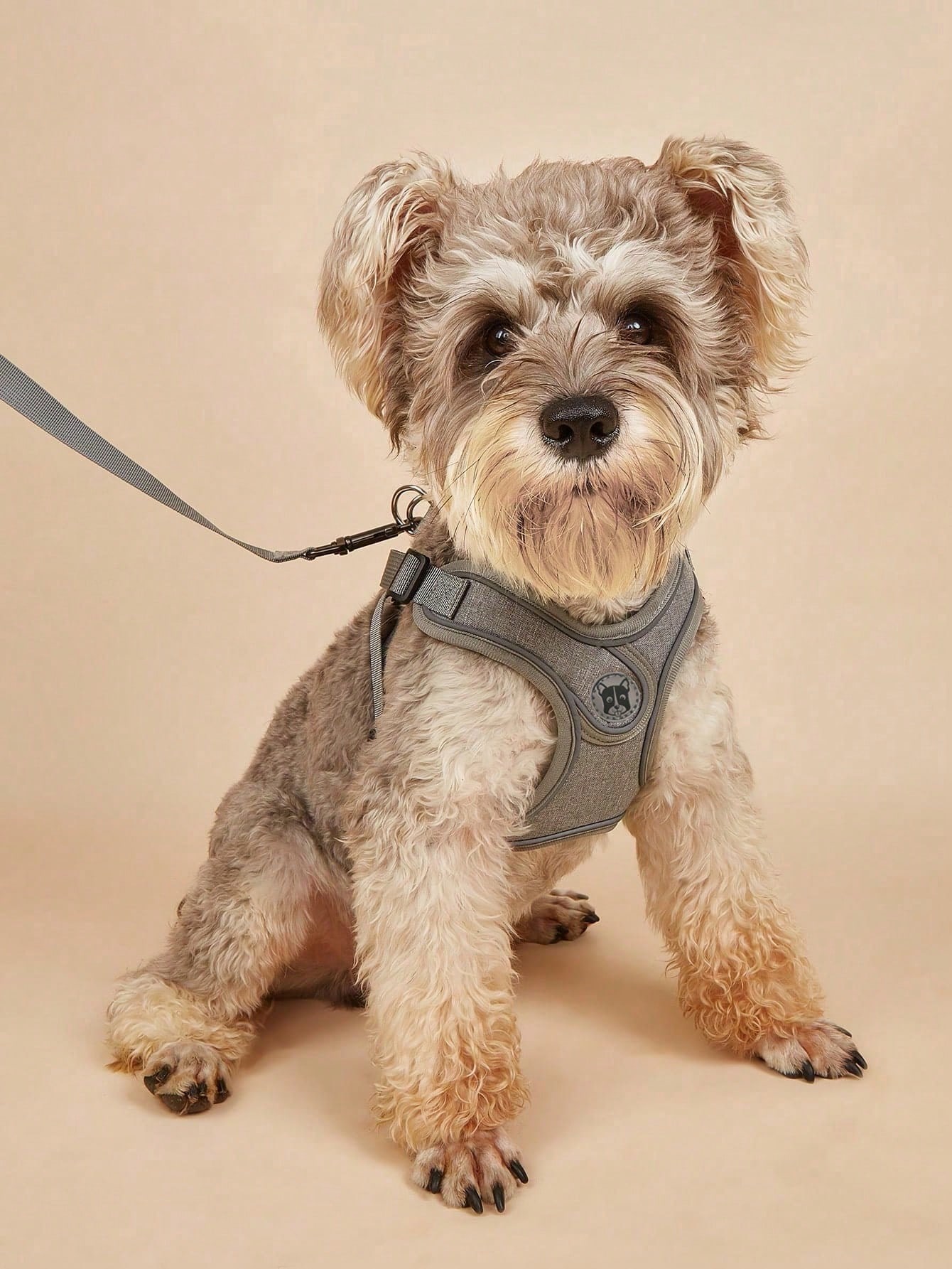 Running Gear Dog - 小型犬・中型犬用ノープルハーネス、子犬用ハーネスとリードセット、ステップイン式犬用ハーネス（散歩、ランニング、トレーニング用）