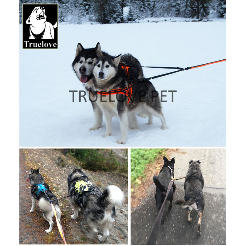 トゥルーラブ ナイロン製 ダブルドッグリーシュ 2匹の犬用  - Running Gear Dog のレビューと価格