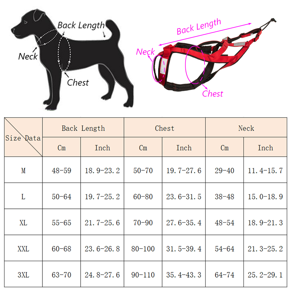 高品質大型犬用スレッジハーネス、スキー、ランニング用ペットハ - Running Gear Dog のレビューと価格