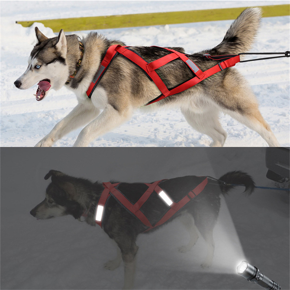 高品質大型犬用スレッジハーネス、スキー、ランニング用ペットハ - Running Gear Dog のレビューと価格