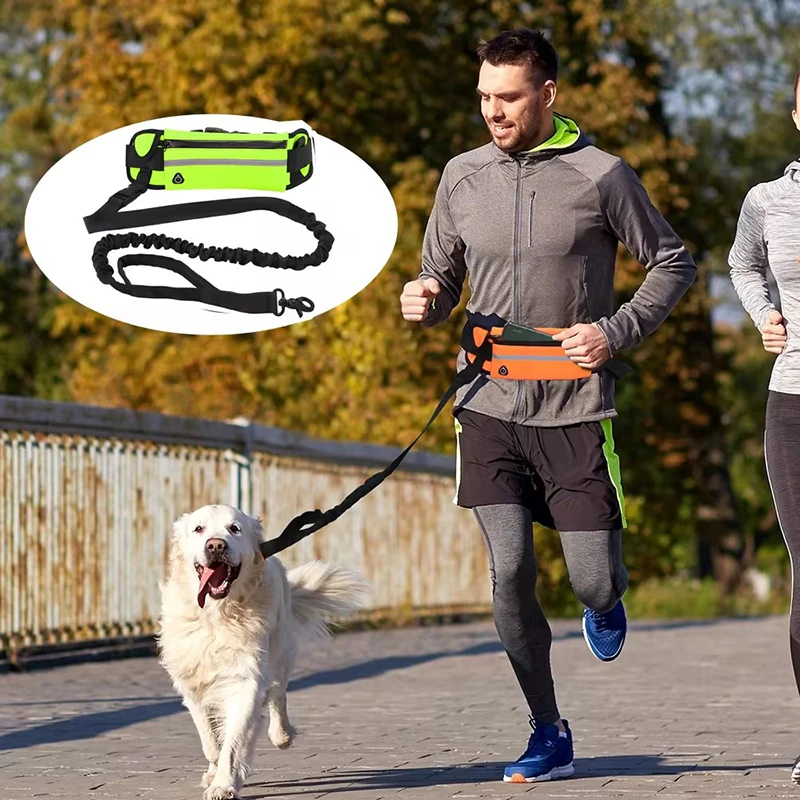 ハンズフリー犬用リード ランニング ウォーキング用 反射リー - Running Gear Dog のレビューと価格