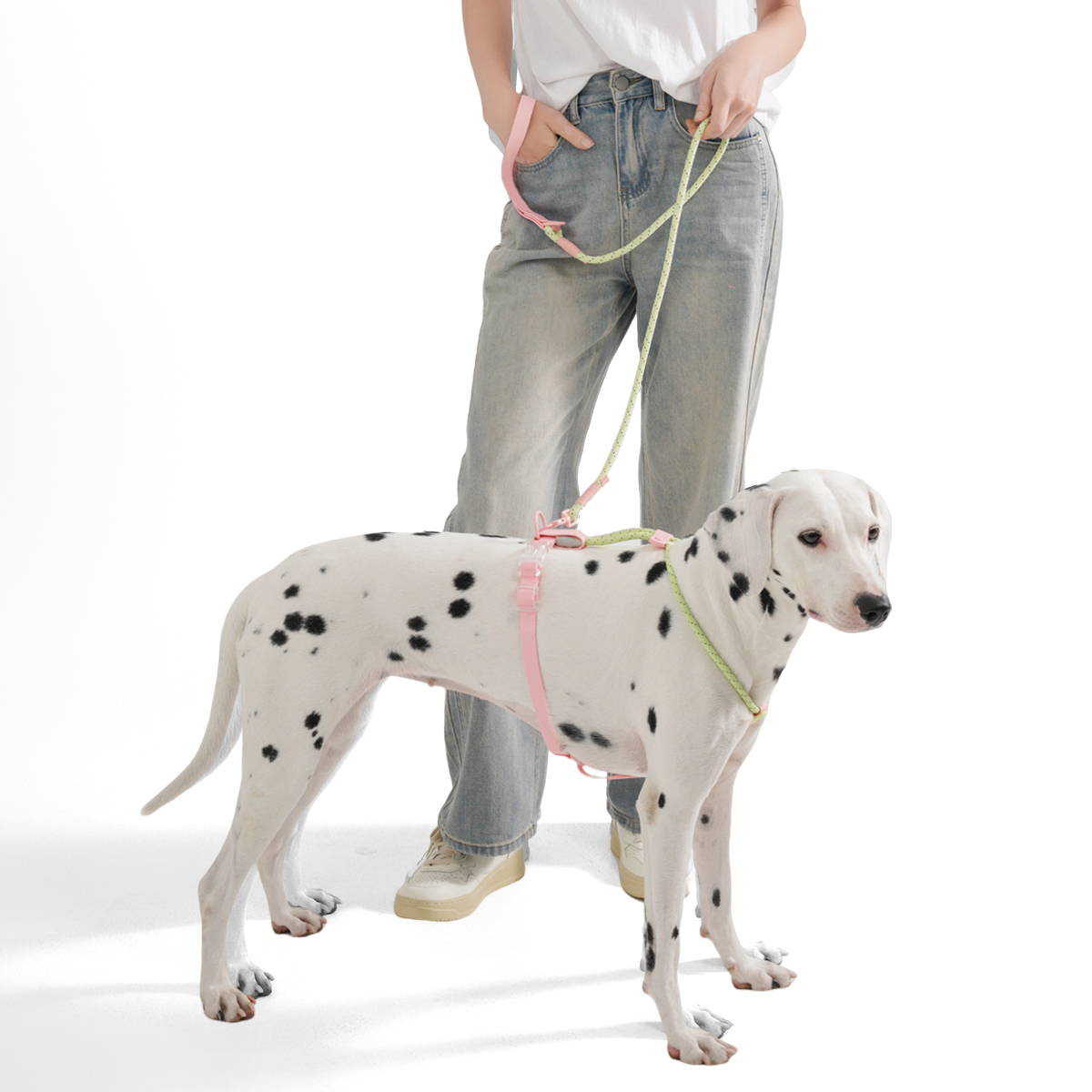 小型犬と中型犬用ハーネス夏用ペット犬の散歩ランニングアウトド - Running Gear Dog のレビューと価格