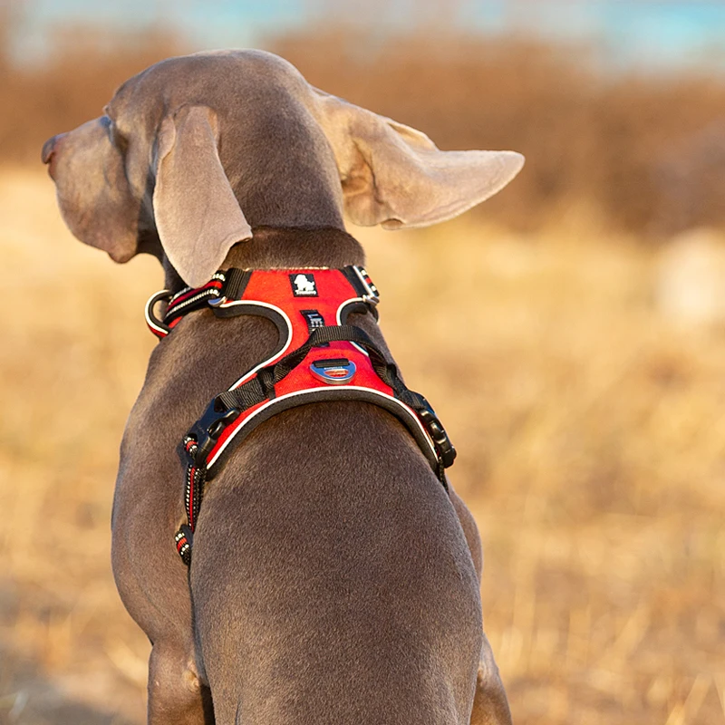 Truelove ペット反射ナイロン犬ハーネス引っ張りなし調 - Running Gear Dog のレビューと価格