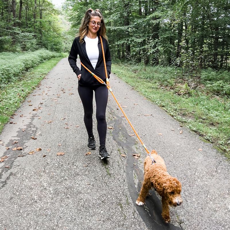ハイキング、ウォーキング、ランニング用の反射型ハンズフリー犬 - Running Gear Dog のレビューと価格