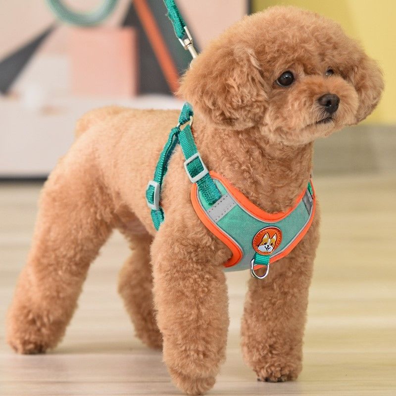 ペット用ペット用反射犬用ハーネスリードウォーキングランニング - Running Gear Dog のレビューと価格