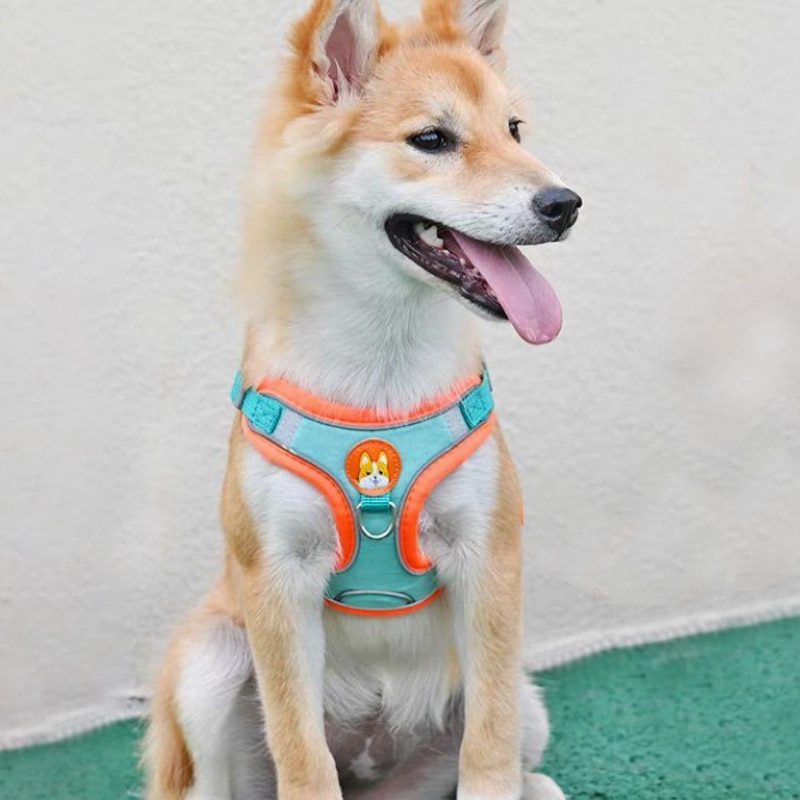 ペット用ペット用反射犬用ハーネスリードウォーキングランニング - Running Gear Dog のレビューと価格